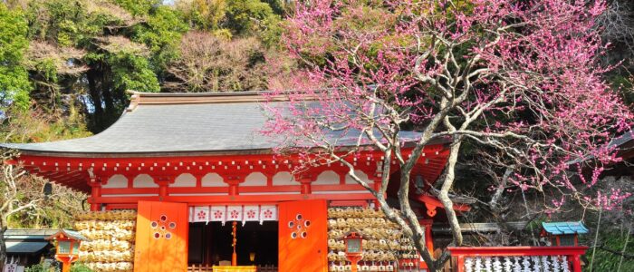 荏柄天神社の梅